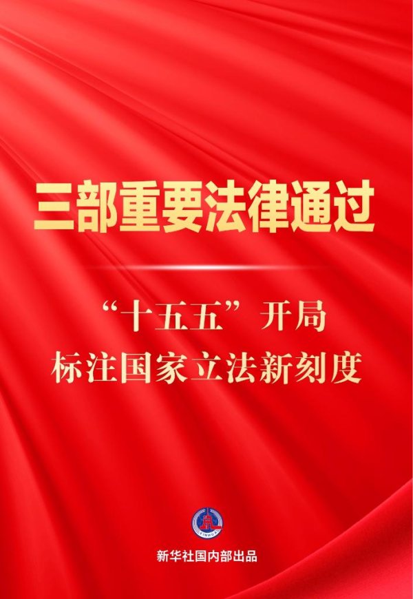 两会新华鲜报丨三部重要法律通过 “十五五”开局标注国家立法新刻度