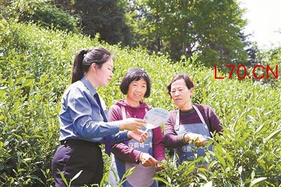 法律知识 送到手边