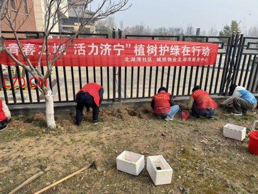 济宁太白湖新区许庄街道北湖湾社区开展“青春之城 活力济宁”植树节主题活动