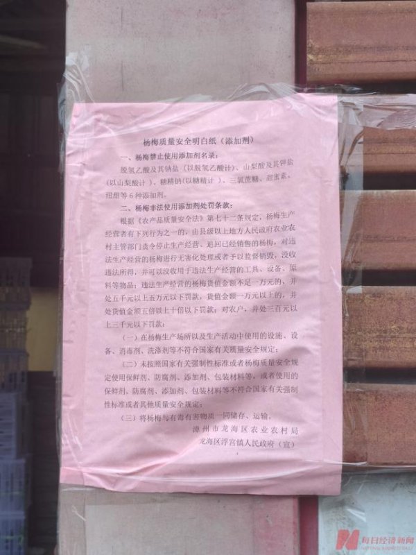 实探漩涡中的漳州杨梅：收购价跌至2元内，果农如何拒绝“潜规则”？