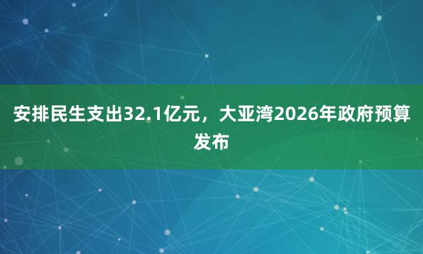 安排民生支出32.1亿元，大亚湾2026年政府预算发布