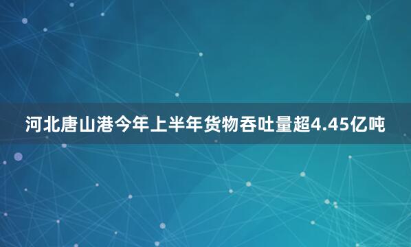 河北唐山港今年上半年货物吞吐量超4.45亿吨