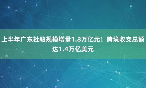 上半年广东社融规模增量1.8万亿元！跨境收支总额达1.4万亿美元