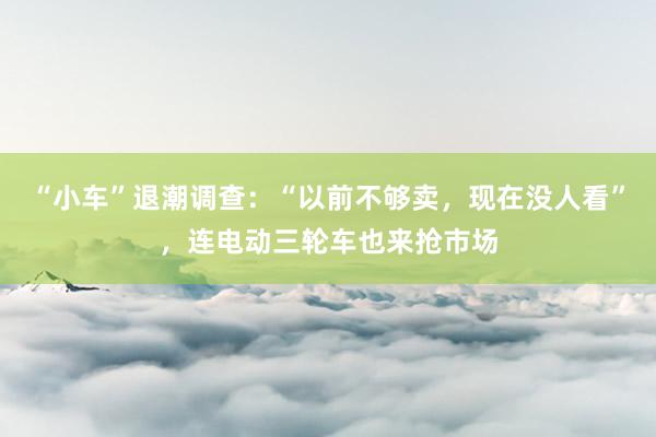 “小车”退潮调查：“以前不够卖，现在没人看”，连电动三轮车也来抢市场