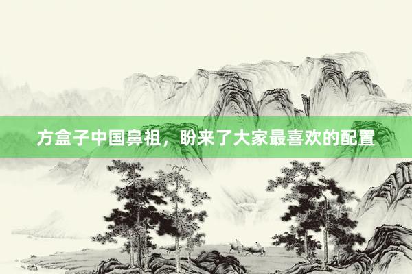 方盒子中国鼻祖，盼来了大家最喜欢的配置