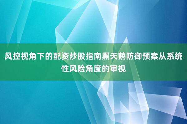 风控视角下的配资炒股指南黑天鹅防御预案从系统性风险角度的审视