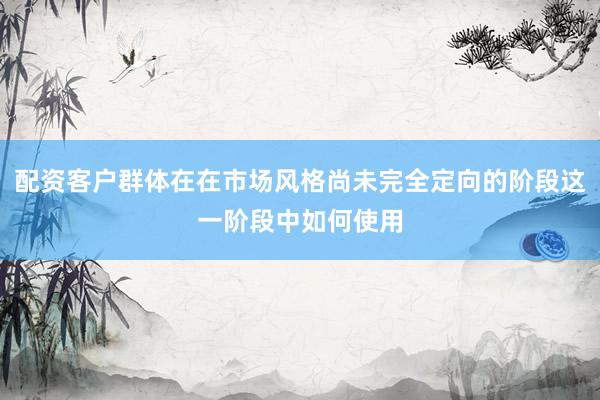 配资客户群体在在市场风格尚未完全定向的阶段这一阶段中如何使用
