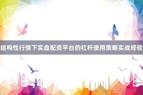 结构性行情下实盘配资平台的杠杆使用策略实战经验