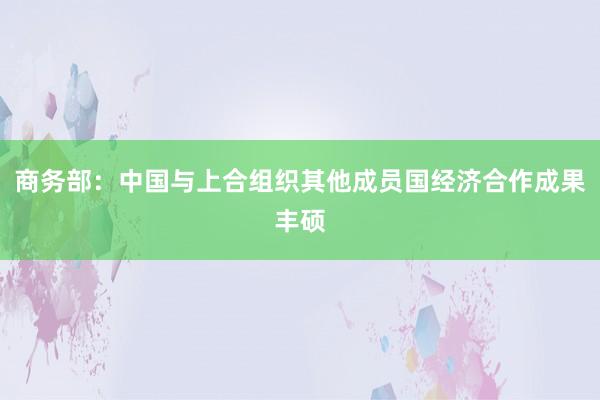 商务部:中国与上合组织其他成员国经济合作成果丰硕