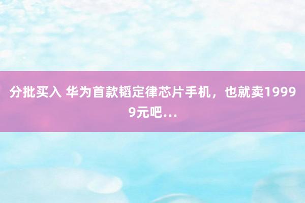分批买入 华为首款韬定律芯片手机，也就卖19999元吧…