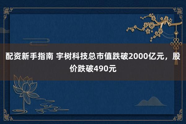 配资新手指南 宇树科技总市值跌破2000亿元，股价跌破490元