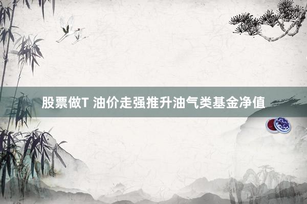 股票做T 油价走强推升油气类基金净值