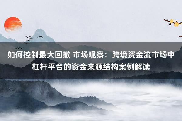 如何控制最大回撤 市场观察：跨境资金流市场中杠杆平台的资金来源结构案例解读